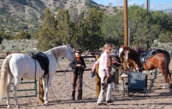 Horse trainer at Clinic