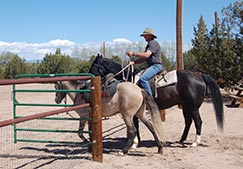 Greg Russell, horse trainer at Clinic