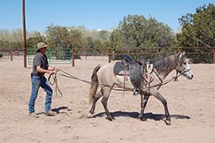 Greg Russell, horse trainer at Clinic